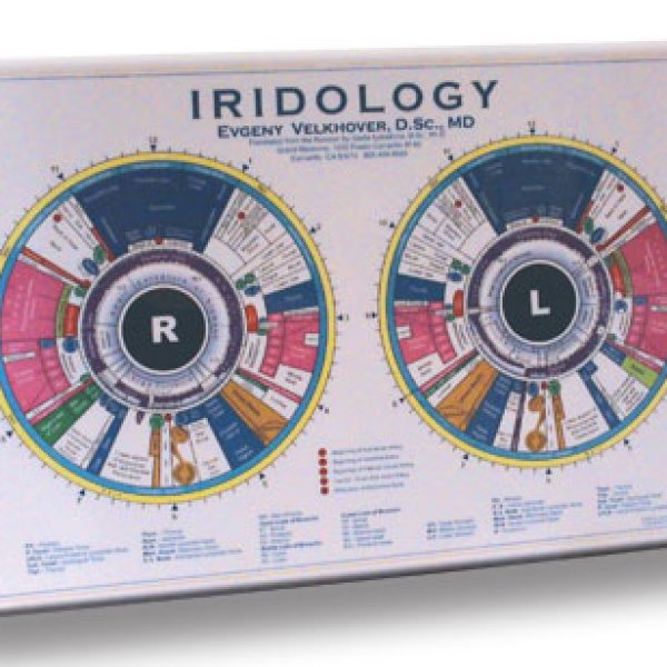 RUSSIAN IRIDOLOGY CHART
