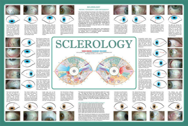 Sclerology Chart