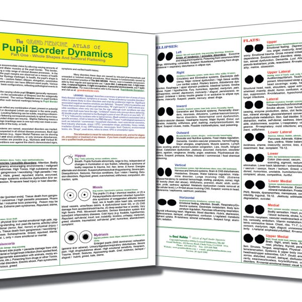 ATLAS of PUPIL BORDER DYNAMICS
