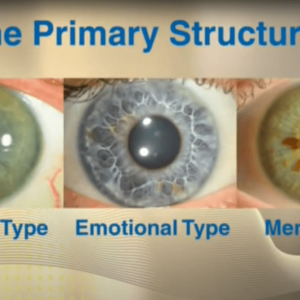 Personality Iridology