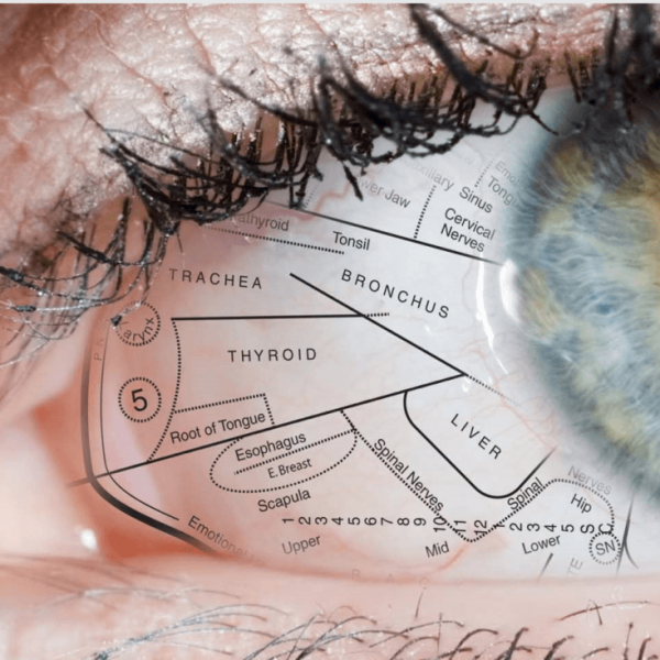 SCLEROLOGY ADVANCED COURSE