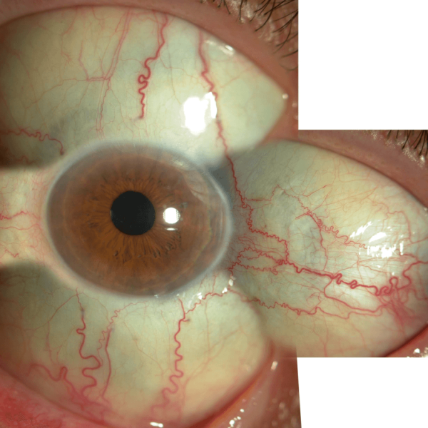 MASTER MENTORING <br> (Coming Soon!)