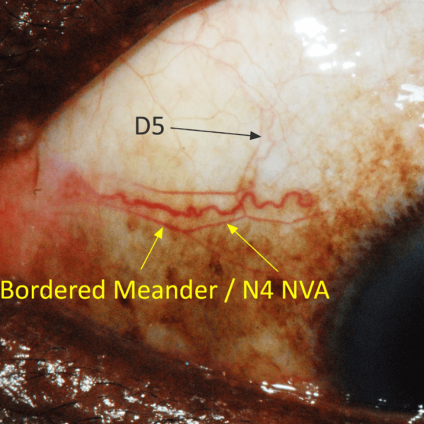 MASTER MENTORING <br> (Coming Soon!)